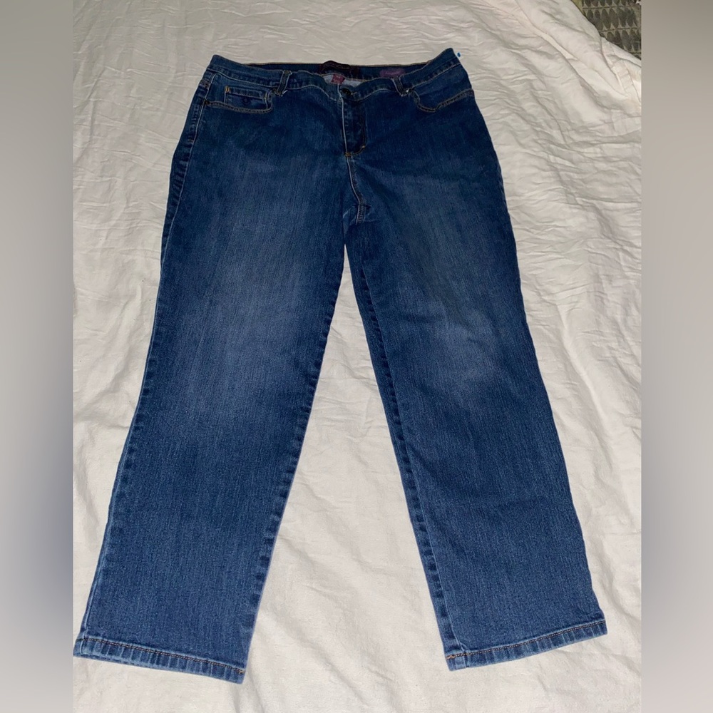 GLORIA VANDERBILT  Stretch Denim Blue Jeans, 2 Pair $15